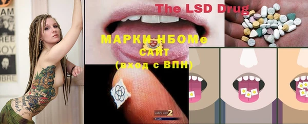 apvp Алзамай