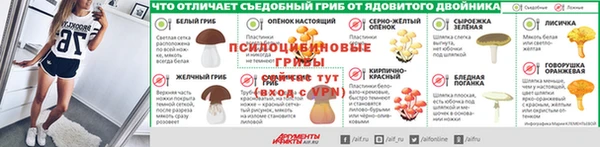 индика Ельня