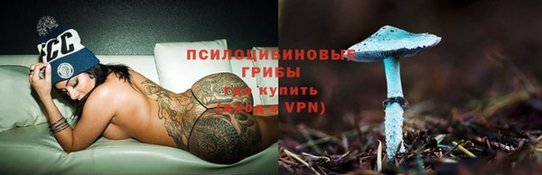 молекула духа Алексеевка
