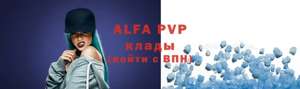 apvp Алзамай