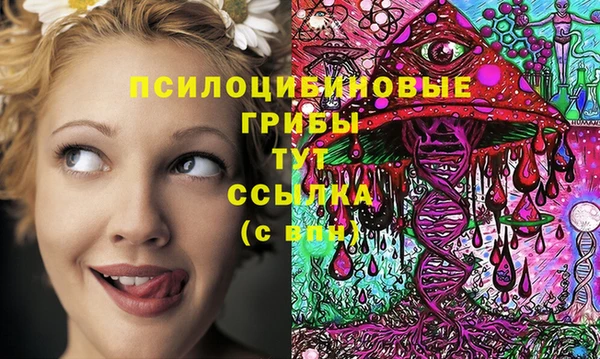 молекула духа Алексеевка