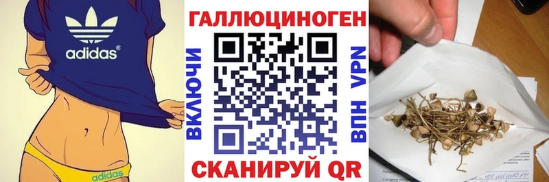 Псилоцибиновые грибы Psilocybine cubensis  Лениногорск 